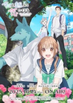 Phim Kimi to Koete Koi ni Naru